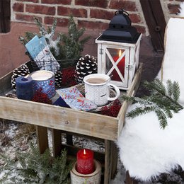 Lunch napkin winter is here