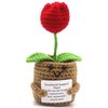 R-b4.1 DC2550-046 Strick positiv Rose 13 cm