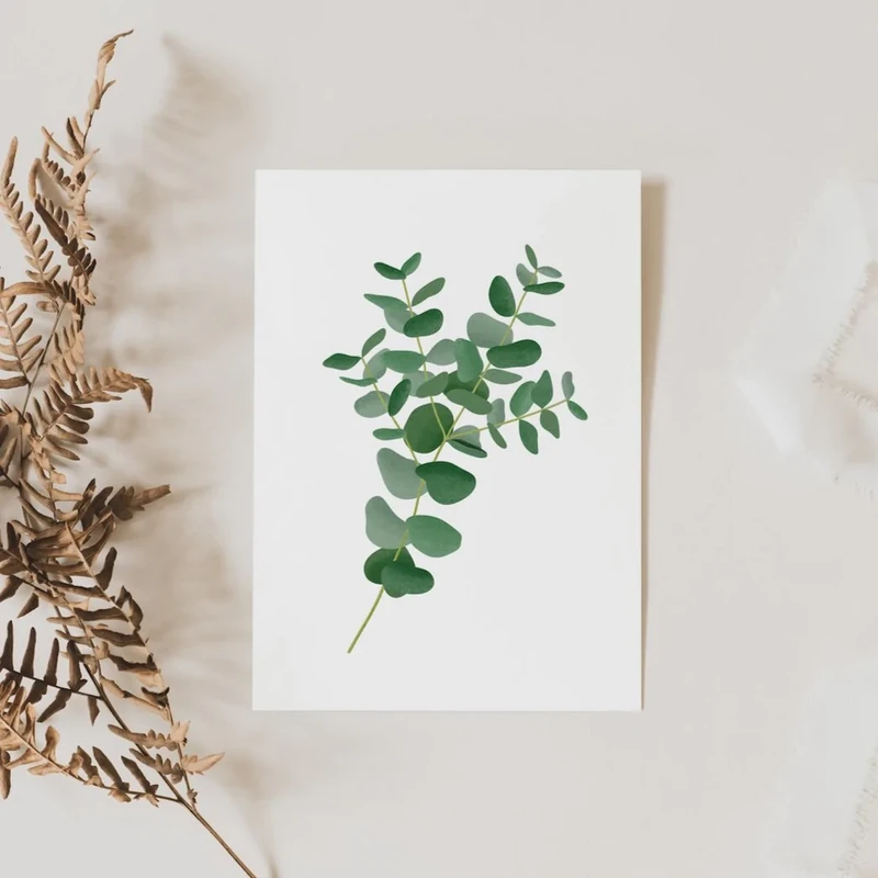 Postcard - Eucalyptus Zweig - Bambo di saluto di botanica eucalipto