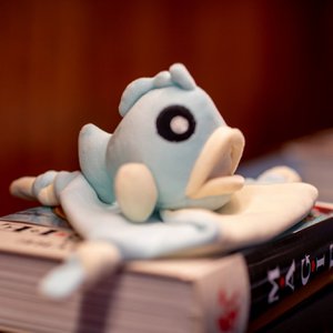 Zackenbarsch Doudou