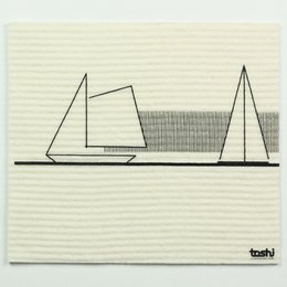 Sponge cloth furbi: ships
