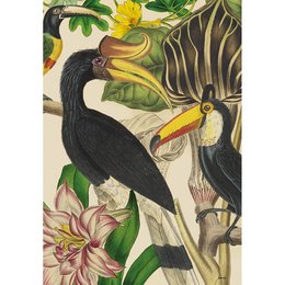 Vægkunst | Tucan Jungle