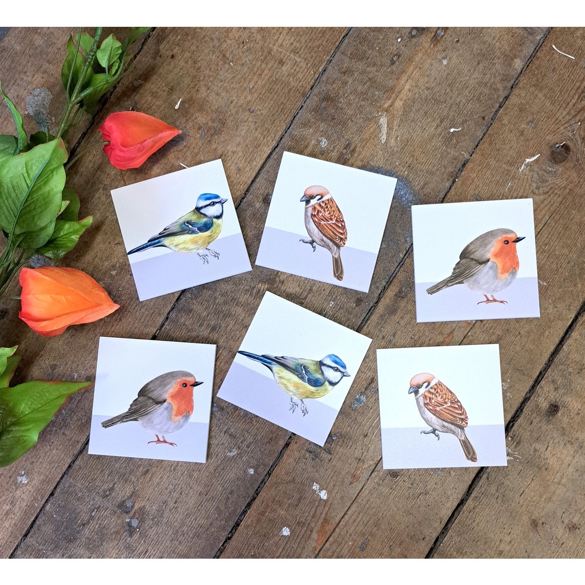 Posavasos pájaros
