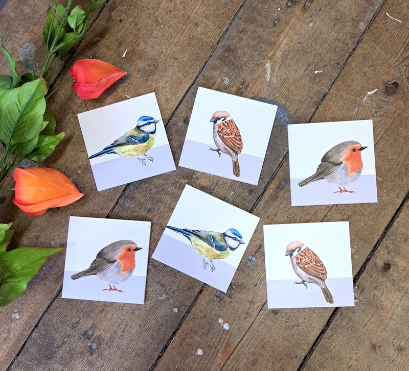 Coasters birds