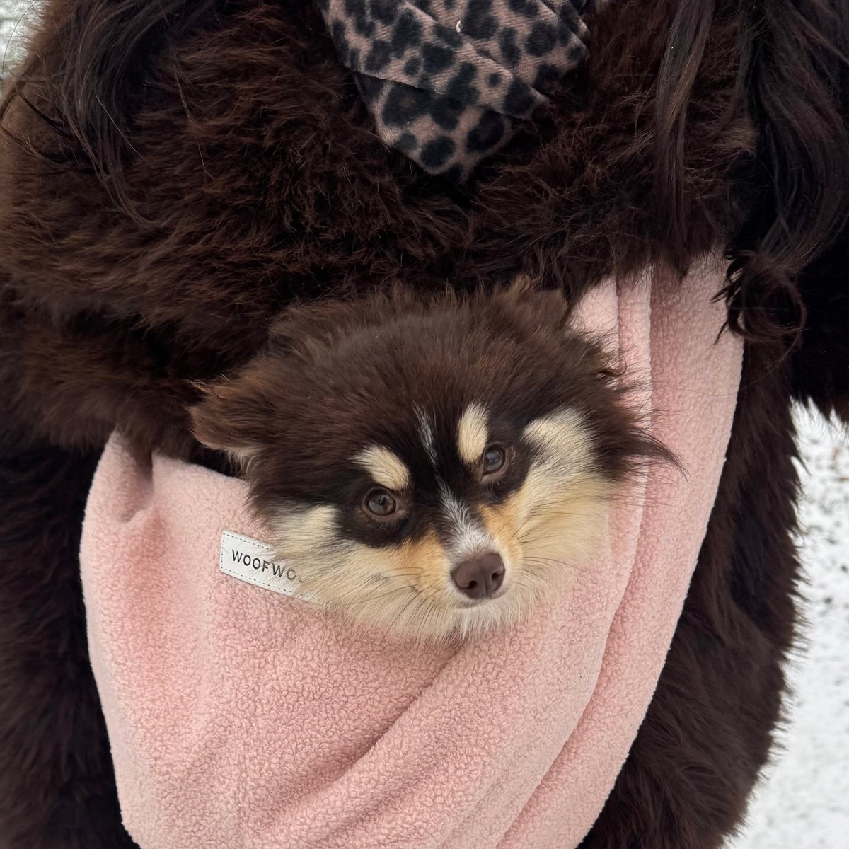 DOG CARRIER PINK