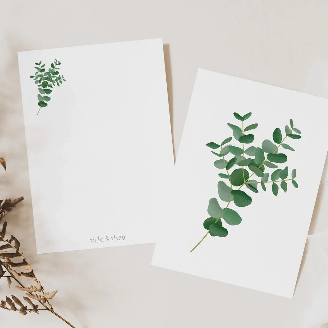 Postal - Eucalipto zweig - Ramas de eucalipto Botánica Tarjeta de felicitación