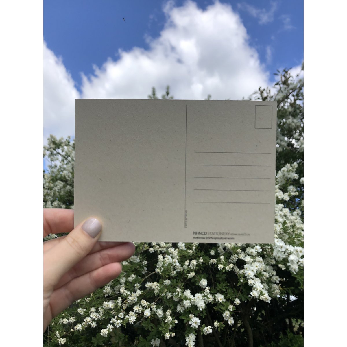 Carte postale de grossesse A6