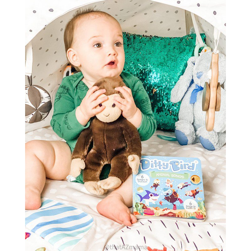 Ditty Bird Baby Sound Book: Chants d'animaux