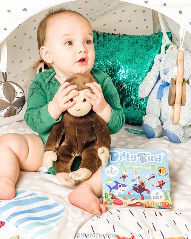 Ditty Bird Baby Sound Book: Animal songs