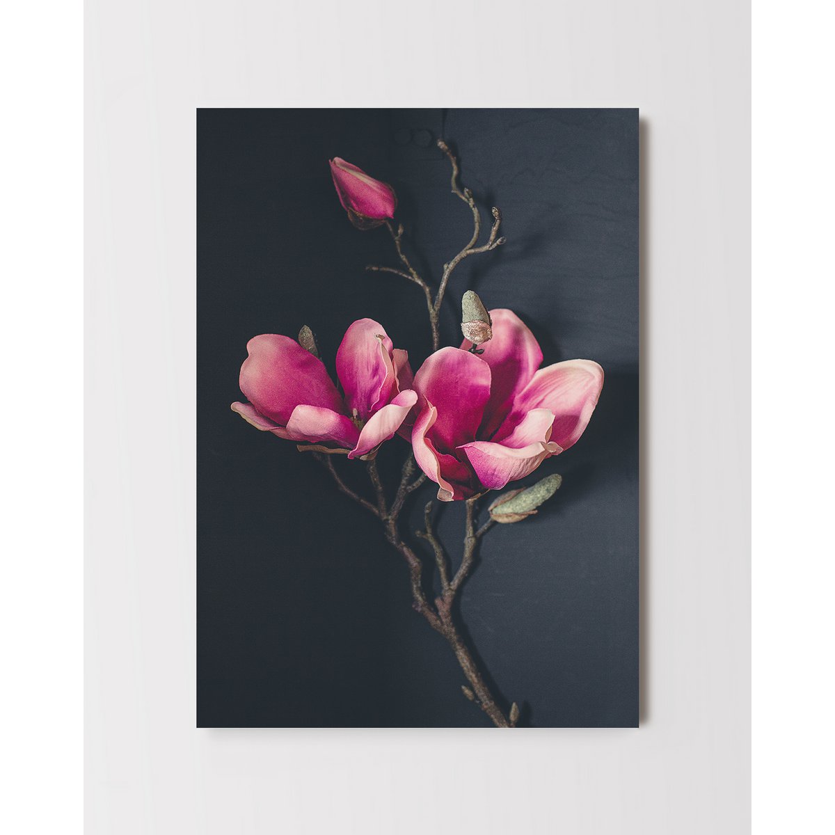 Ansichtkaart Wenskaart Donker Magnolia (PK_062)