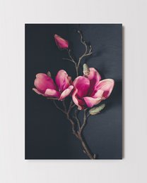 Carte postale Carte de vœux Dark Magnolia (PK_062)