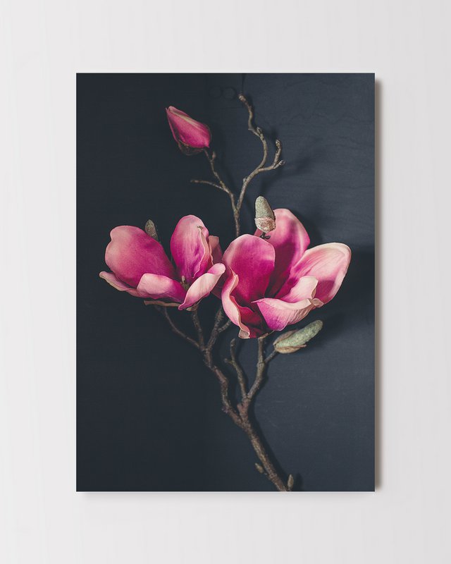 Pocztówka Kartka Z Pozdrowieniami Ciemna Magnolia (PK_062)