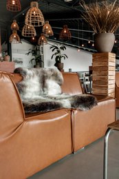 Blaues Texel | 4 Varianten