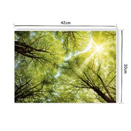 Artipics Manteles individuales Manteles individuales Lavable 4 piezas Lichtblick manteles individuales de plástico 42 x 30 cm Mantel natural, motivo de bosque especialmente bonito con reflejos de luz