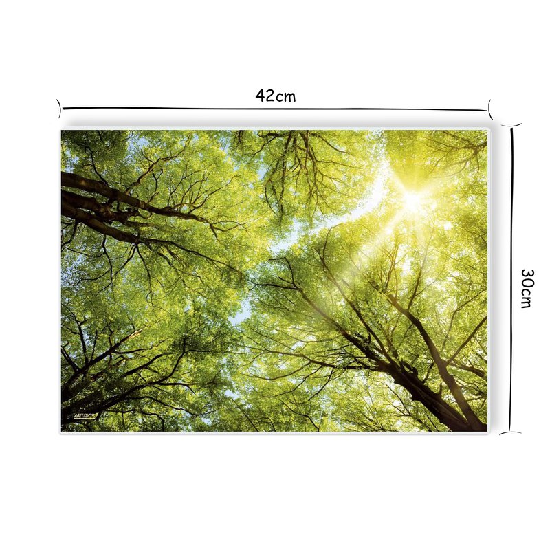 Artipics Manteles individuales Manteles individuales Lavable 4 piezas Lichtblick manteles individuales de plástico 42 x 30 cm Mantel natural, motivo de bosque especialmente bonito con reflejos de luz