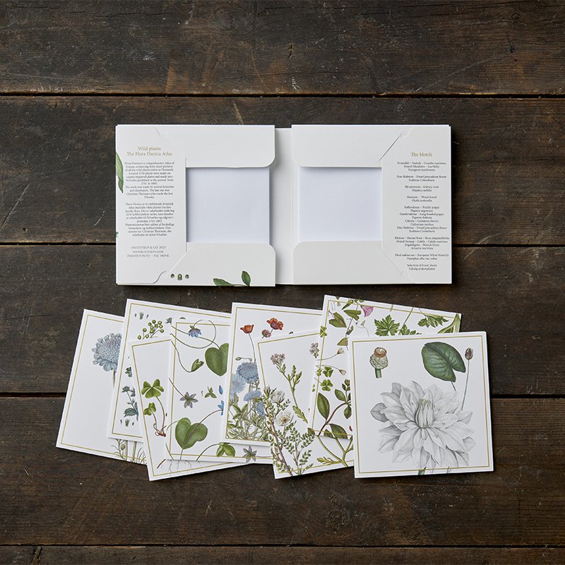 The Flora Danica Atlas - Wild plants - Square card folder