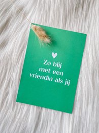 A green greeting card with a feather decoration, expressing the sentiment "So glad to have a friend like you."