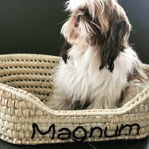 🐱🐶 Basket for Cat or Small Dog