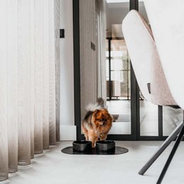 Ciotola per cani Etna Nera