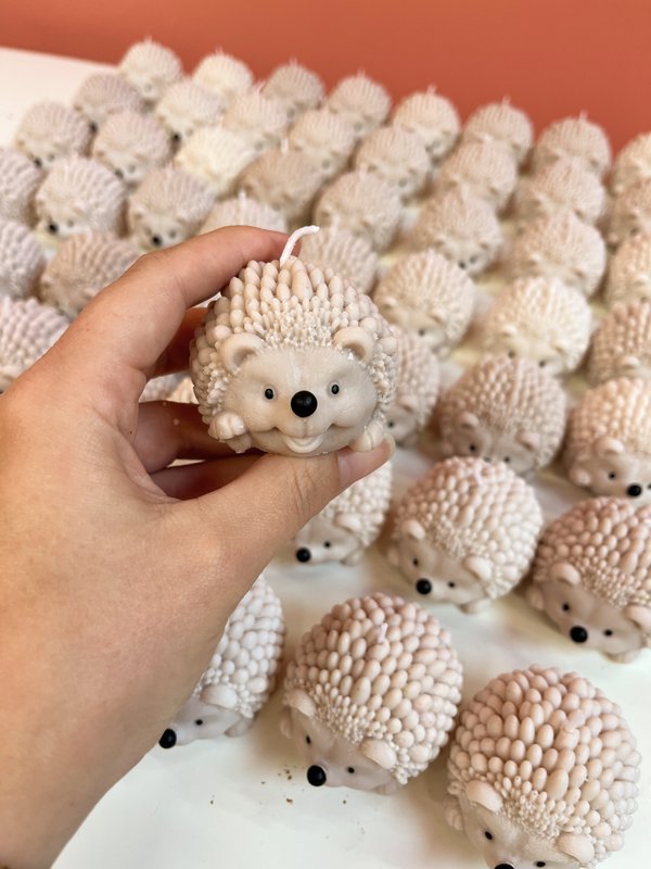 Hedgehog candle