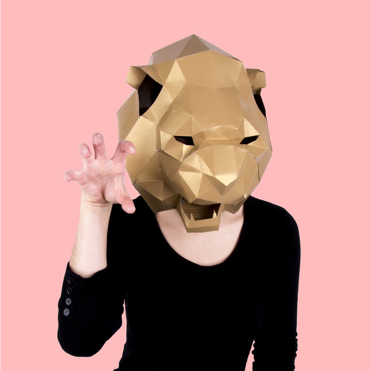 ENSEMBLE MASQUE LION PANDA RACCOON HF