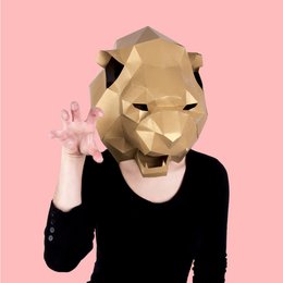 ENSEMBLE MASQUE LION PANDA RACCOON HF