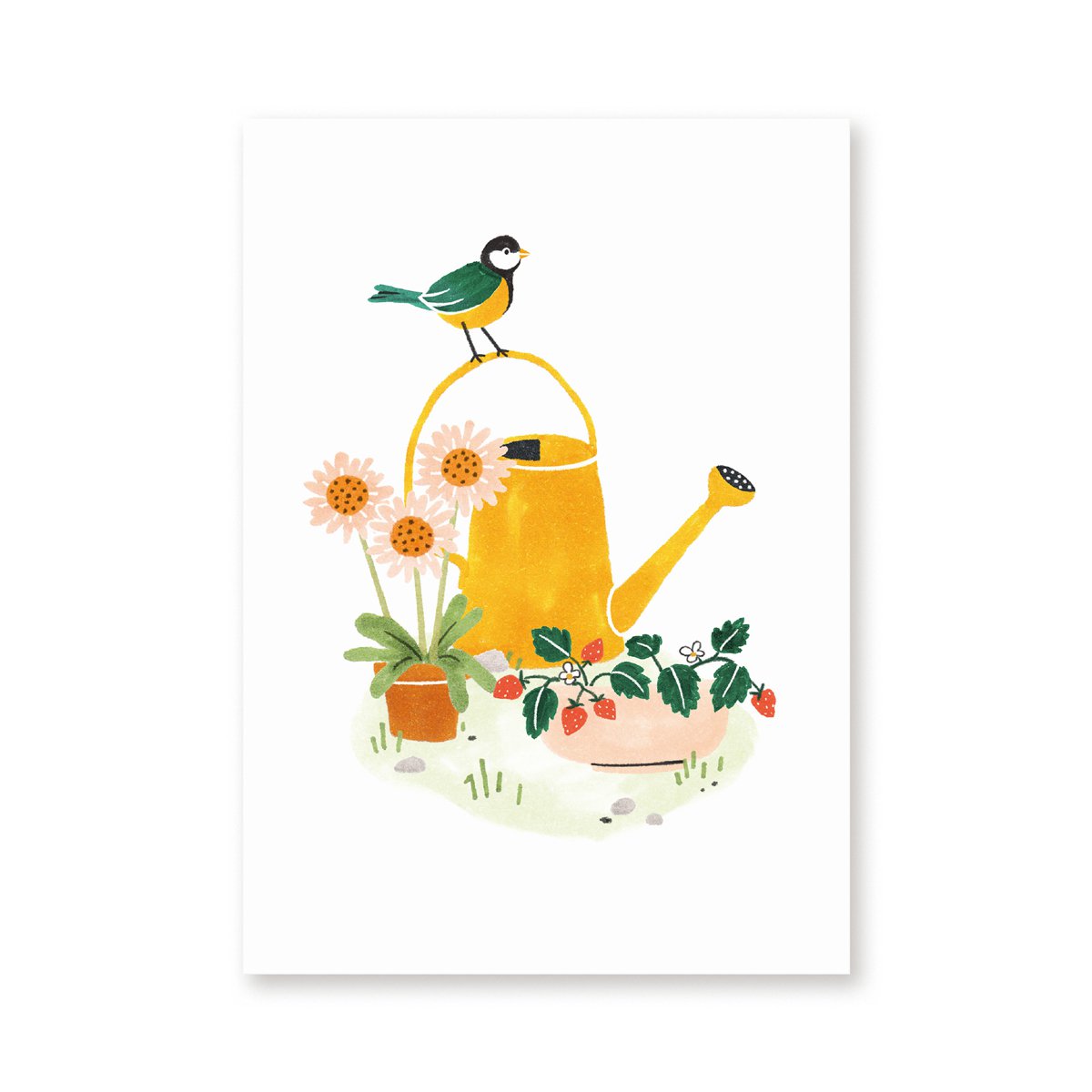 Postcard | Great tit | Birds