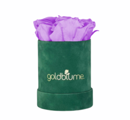 Velvet Green Collection