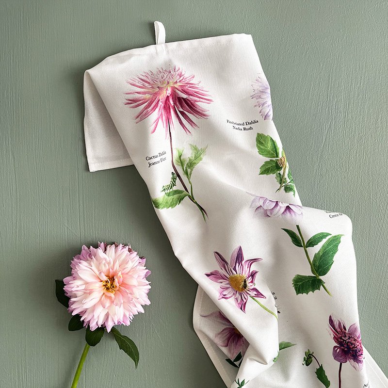 Organic tea towel - Dahlia