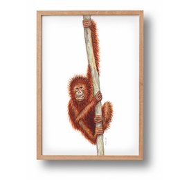 Poster animali scimmia - A4 - scuola materna - regalo di maternità - decorazione murale - dipinto a mano da Mies con acquerello