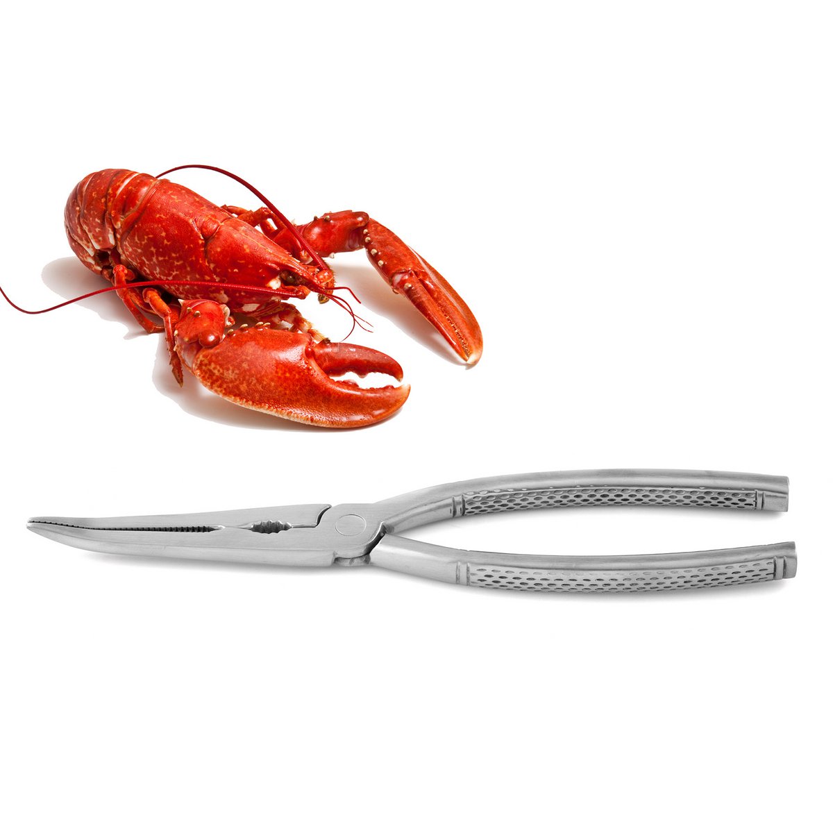 Stainless steel lobster tongs, satined