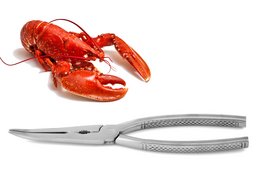 Stainless steel lobster tongs, satined