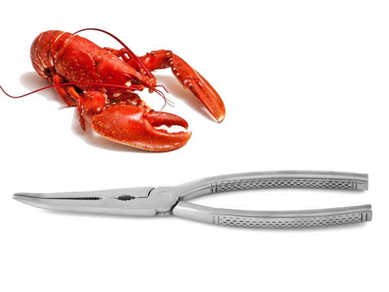 Stainless steel lobster tongs, satined