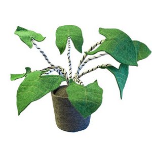 Plant zebrina, felt decoration plant