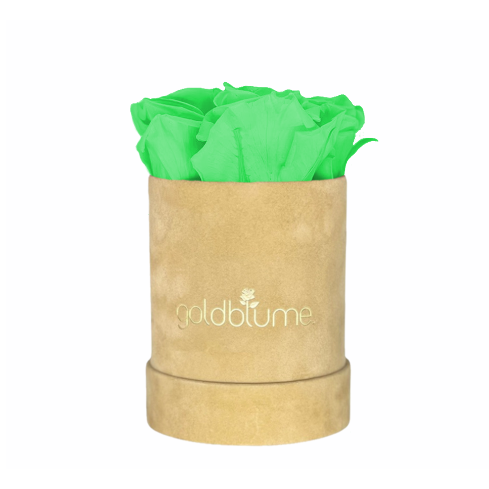 Green Glow S
