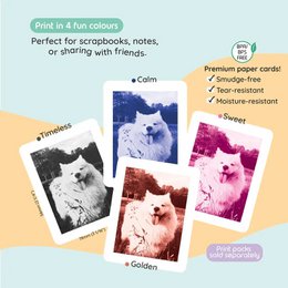 Fotocamera Mint Print Pro