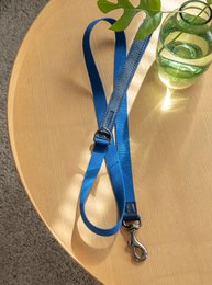 LEAD NAVY/GRANDALA BLUE