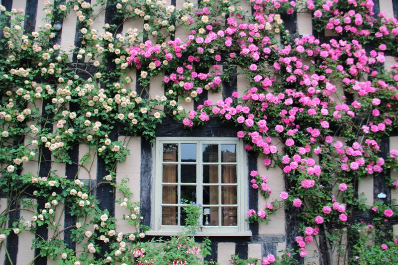 Jardín como Dios en Inglaterra. Los ingeniosos trucos de los jardineros británicos.