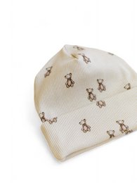 Beanie / Teddybear
