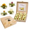 Creano Teelini ErblühTee Geschenkset 12er Holzbox