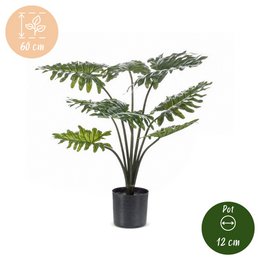 Kunstplant - Philodendron - 60 cm