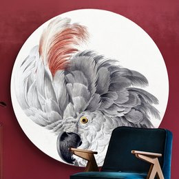 A large, circular wall art depicting the head of a cockatoo bird. The cockatoo has vibrant gray, white, and orange feathers, and is set against a plain white background. The image is suitable for use as wall decor in a variety of interior design styles.