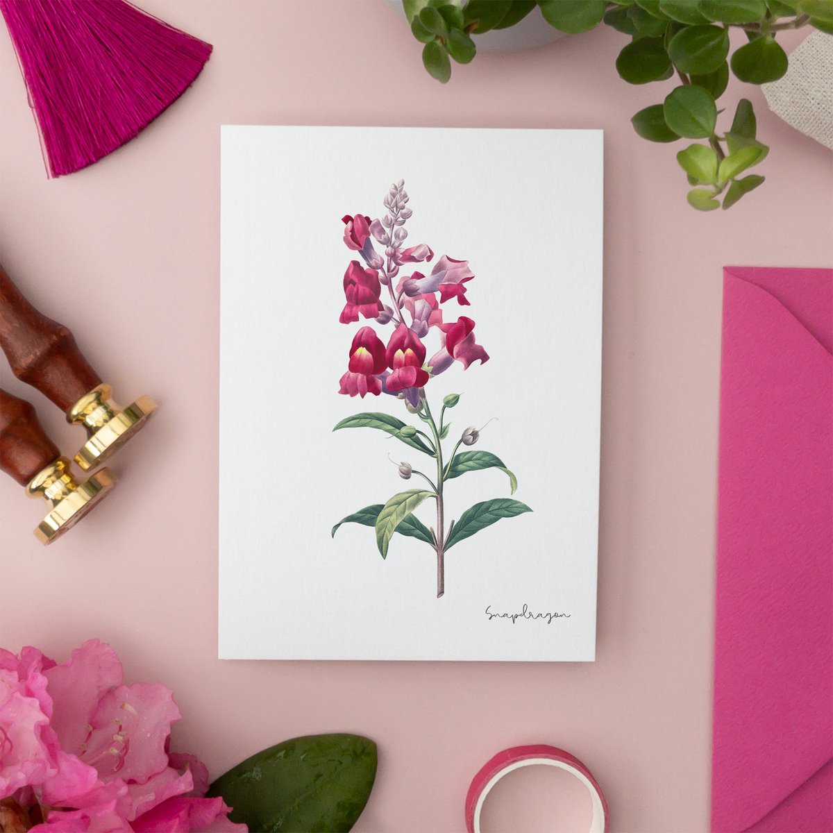 Pink Pack - Handgemachte Postkarten A6 mit Umschlag - Botanical Vintage