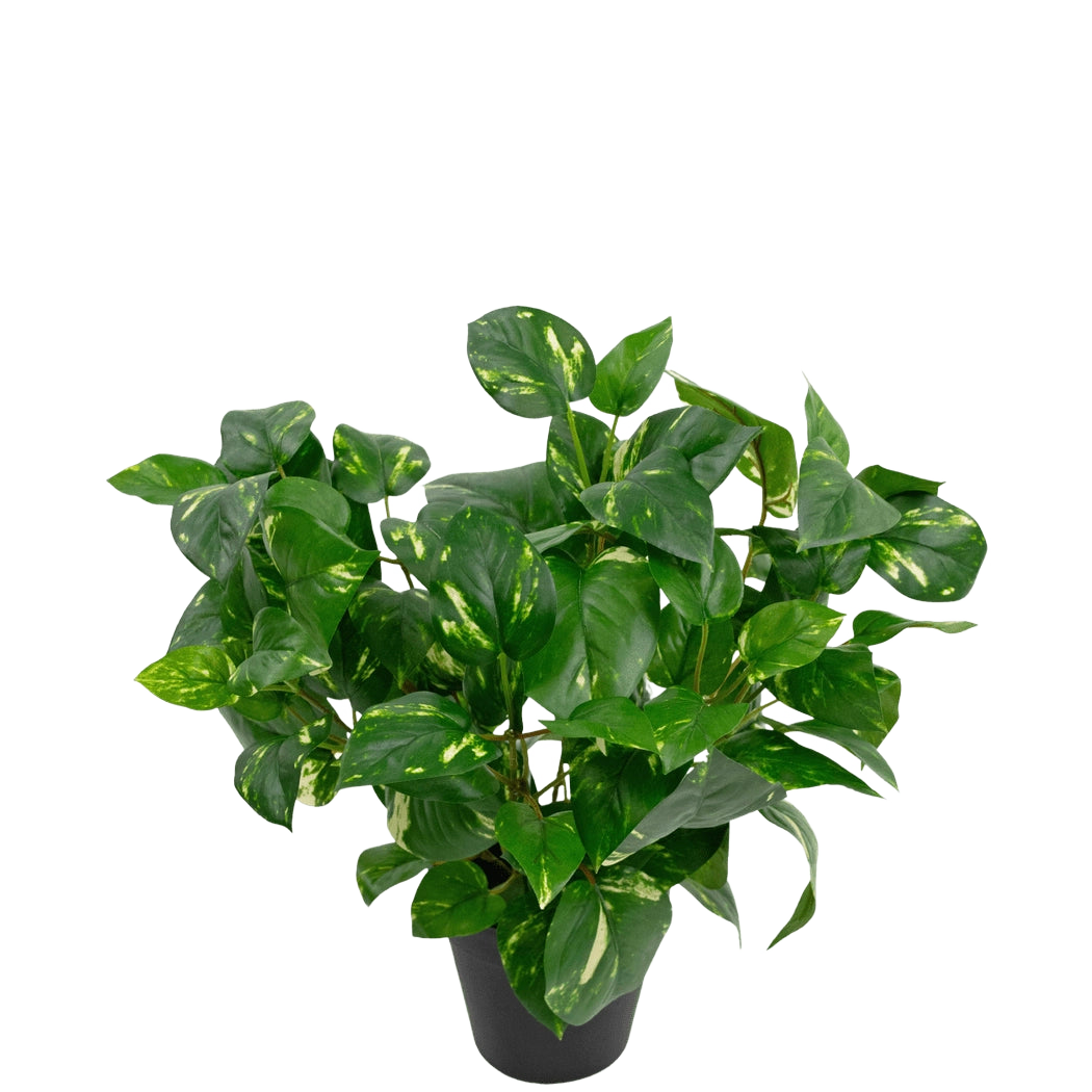 Artificial plant Gouden Wijnstok in Pot 40cm