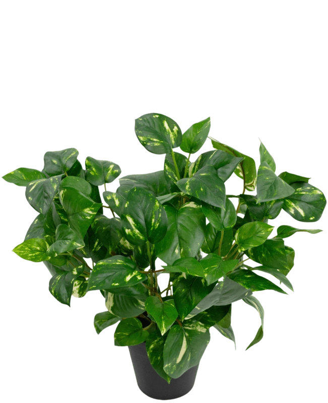 Sztuczna roślina Golden Vine w doniczce 40cm