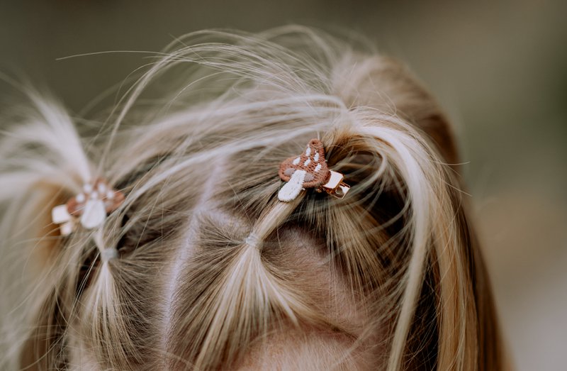 Mini setje Aster