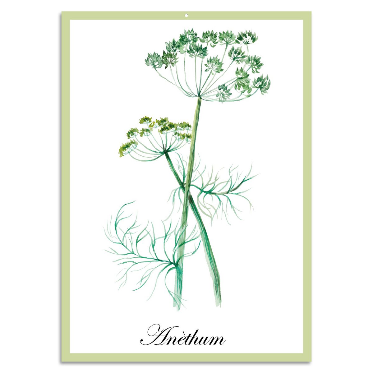 Blechschild - Anèthum 20x30cm