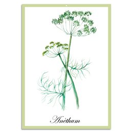 Blechschild - Anèthum 20x30cm
