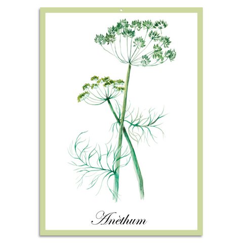Blechschild - Anèthum 20x30cm