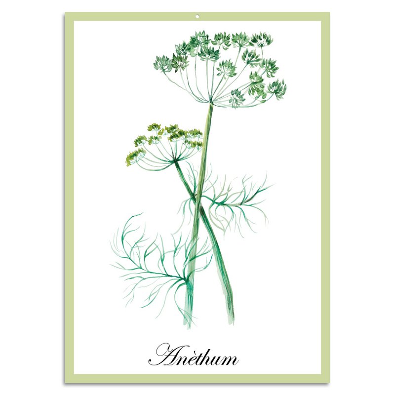 Blechschild - Anèthum 20x30cm